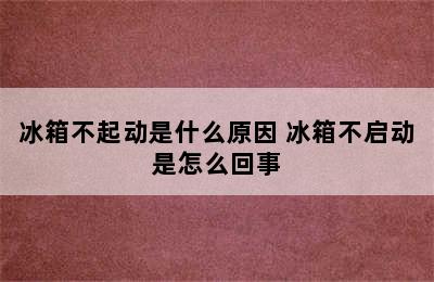 冰箱不起动是什么原因 冰箱不启动是怎么回事